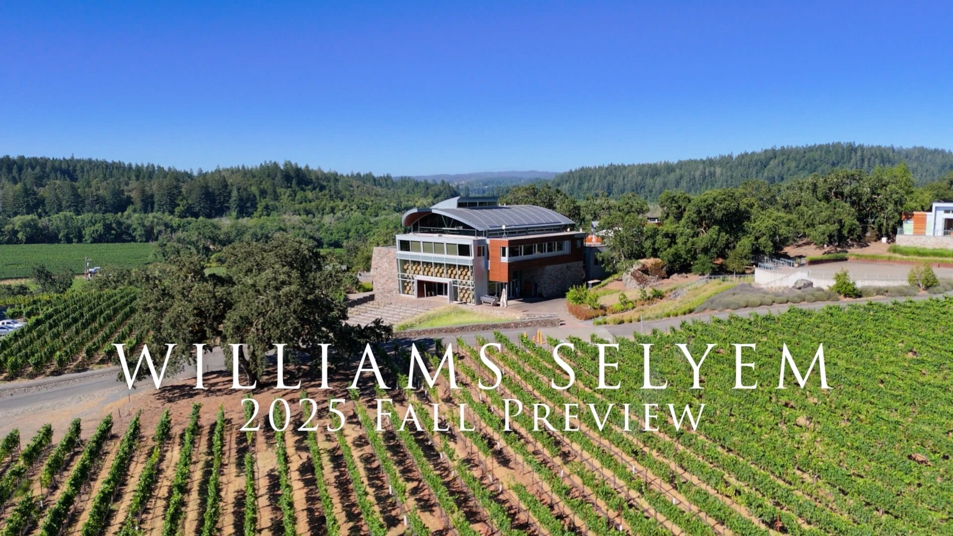 WS Fall 2025 Preview